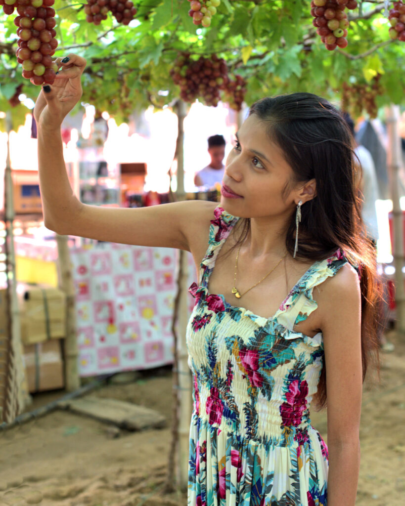 These grapes produce the distinctively rich flavour of Philippines only commercially produced wine, a pleasure to sample at Lomboy Farm, Bauang, La Union.